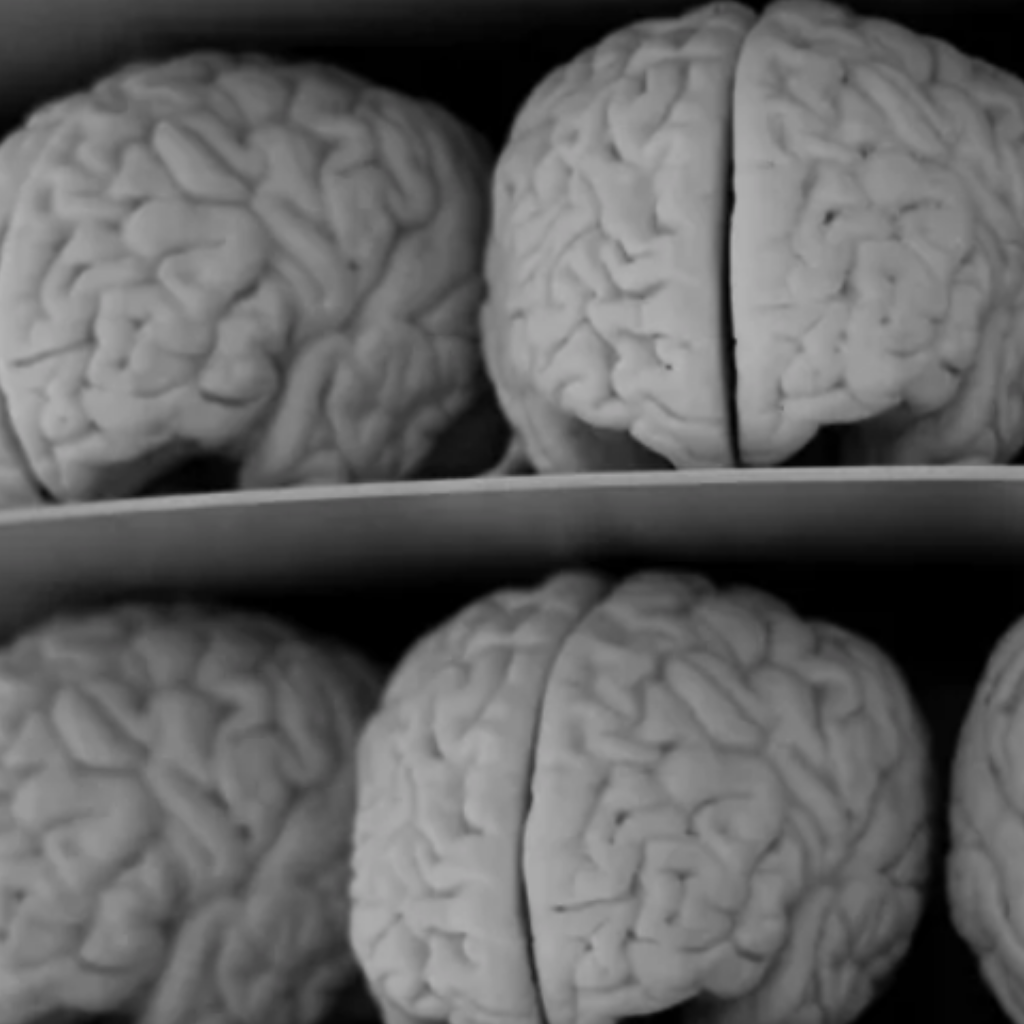 Notre cerveau peut-il exister éternellement?
